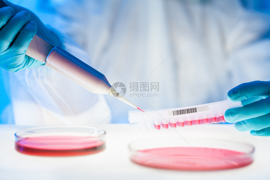 在实验室中从事高度保护性高的工作 工作医生技术员技术盘子手套科学安全基因药品药店图片