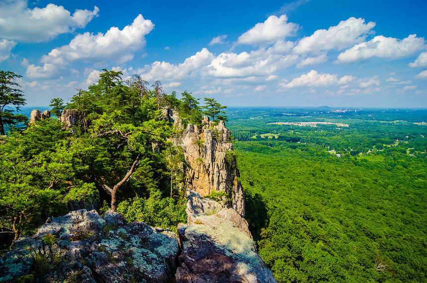 美美丽的空中风景 来自北山的拥挤者森林绿色数控晴天树叶松树公园远足季节国家图片