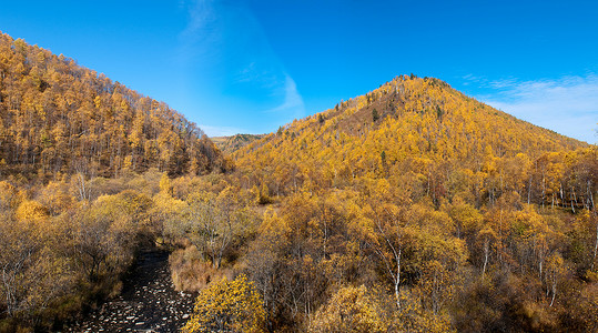 贝加尔湖的秋天世界上最古老 最深 水量最大的淡水湖海岸线旅行地标土地场景天空公园叶子地平线观光背景图片