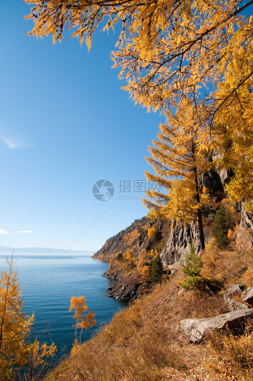 贝加尔湖的秋天世界上最古老 最深 水量最大的淡水湖旅行叶子国家海岸土地场景爬坡淡水荒野海岸线图片