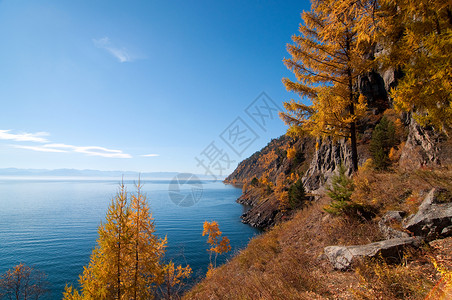 贝加尔湖的秋天世界上最古老 最深 水量最大的淡水湖地平线孤独旅行国家叶子场景荒野地标爬坡海岸线背景图片