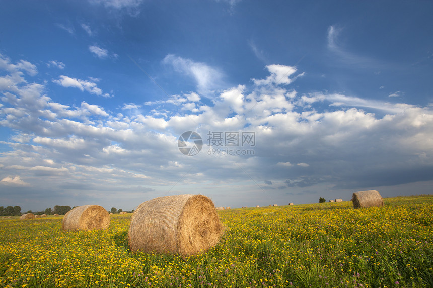 干草庄稼风景农场农业场地天空收获图片