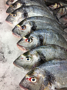 鱼市场蓝色餐厅钓鱼团体食物海鲜营养眼睛销售美食生的高清图片素材