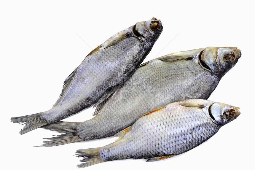 白底的盐河和干河鱼类食物爱好鲫鱼对象映射钓鱼图片