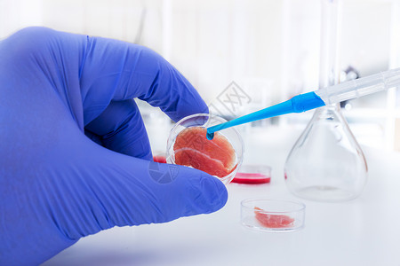 干细胞实验室在实验室条件下培养的肉类瓶子研究员小说桌子试管液体塑料样本乳胶身体背景
