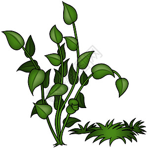 成套植物背景图片
