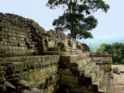洪都拉斯的玛雅建筑和椰干废墟高清图片
