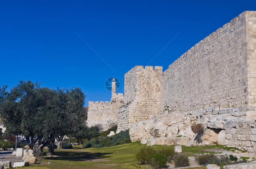 耶路撒冷隔离墙手掌树木考古建筑圣经砖块城市图片