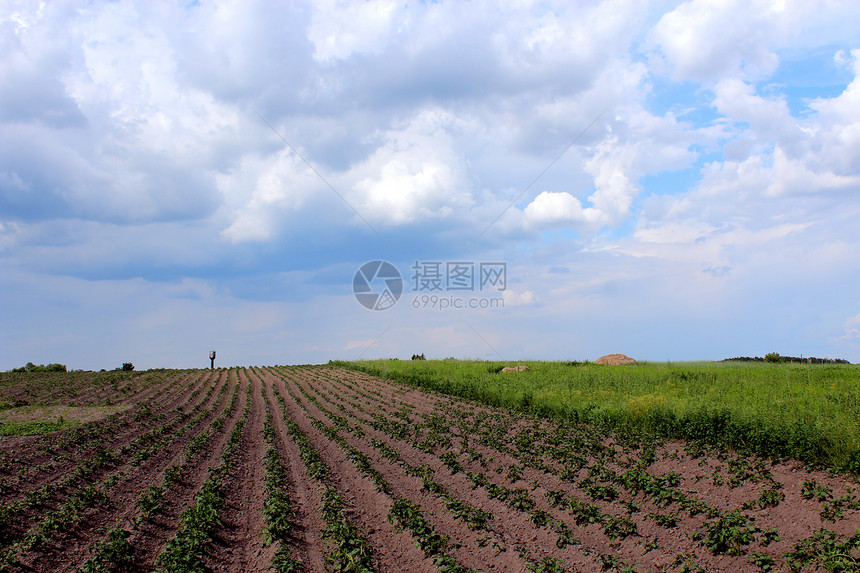 上层土豆的厨房花园地面销售蔬菜产品工作淀粉芯片收成村庄乡村图片