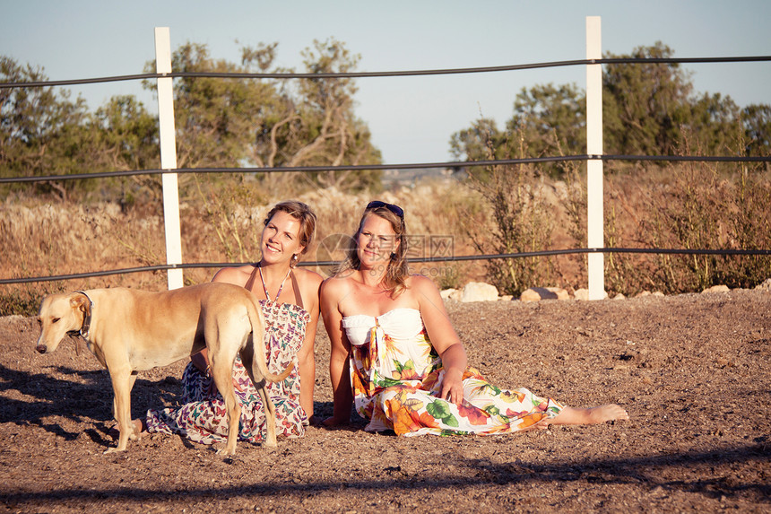 两匹女马和狗在夏日户外欢乐成人幸福自由女士日落动物女性荒野友谊假期图片