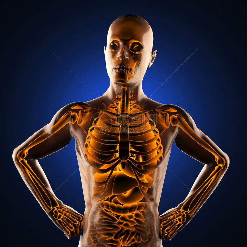 射线摄影扫描仪手术疾病诊断保健x光男性扫描男人直肠身体图片