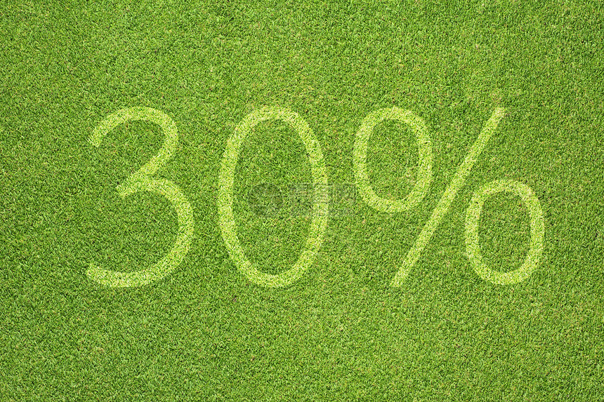 绿色草质和背景上的百分率图标商业土地草本植物叶子框架公园草地场地折扣销售图片