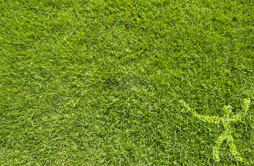 绿色草质和背景上的体育围栏;图片