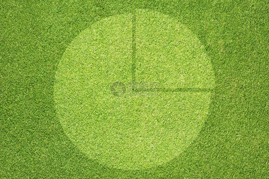 绿色草质和背景的饼图土地叶子草皮场地绿色植物环境植物框架馅饼商业图片