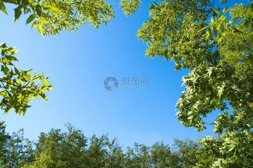 木柴中的天然框架天气枝条场地环境树木蓝色季节阳光天堂天空图片