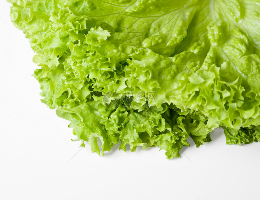 生菜沙拉叶子宏观生产食物活力绿色营养白色蔬菜图片