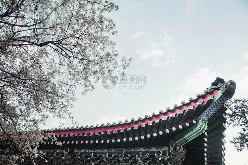在中国大厦上 特写了板块的屋顶瓷砖建筑历史省会正方形代表天空物体摄影城市公园图片