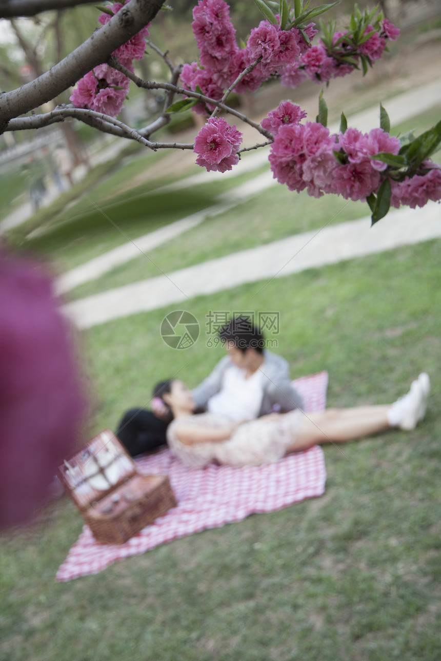 表面的闪光和年轻的情侣躺在毯子上 在背景中野餐模糊了图片