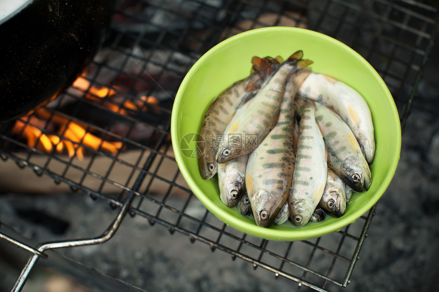 新渔获鱼淡水炙烤动物石头静物环境钓鱼篝火食物饮食图片
