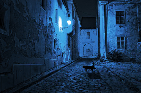 黑猫在晚上穿过荒无人烟的街道图片素材