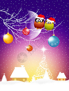 圣诞球庆典分支机构雪橇猫头鹰圣诞袜插图鸟类背景图片