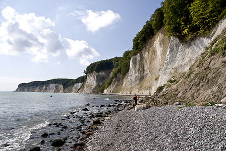 鲁根岛树木粉笔海岸悬崖石头海滩白色绿色白垩高清图片