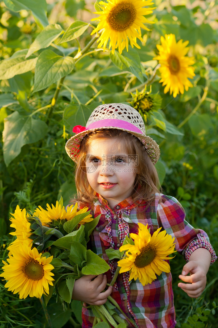 在向日葵中戴着夏帽的小女孩乡村孩子天空村庄日光蓝色绿色帽子太阳能植物图片