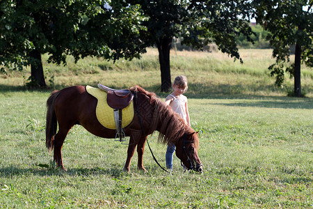 美丽的小女孩和田野上的马匹农村高清图片素材