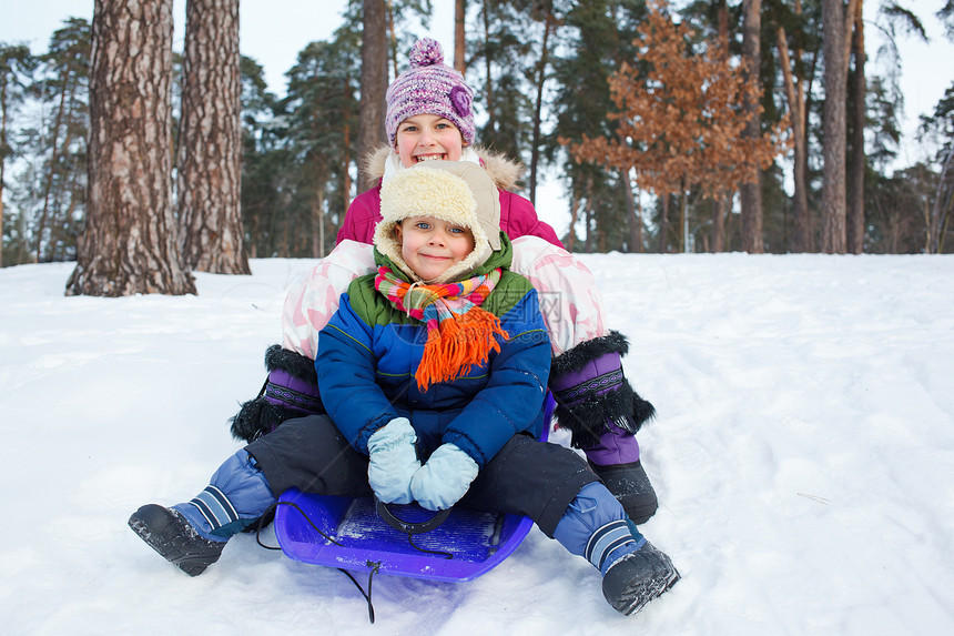 儿童在雪雪地上骑着雪橇乐趣童年青年美丽姐姐季节家庭眼睛森林喜悦图片