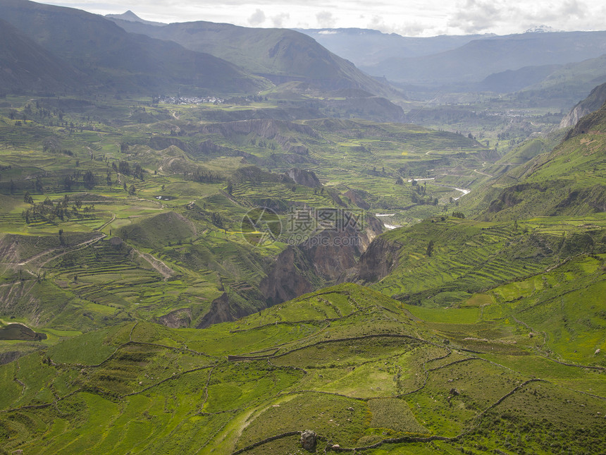 科尔卡谷 阿雷基帕 秘鲁天空生活山脉顶峰野生动物荒野遗产世界秃鹰深渊图片
