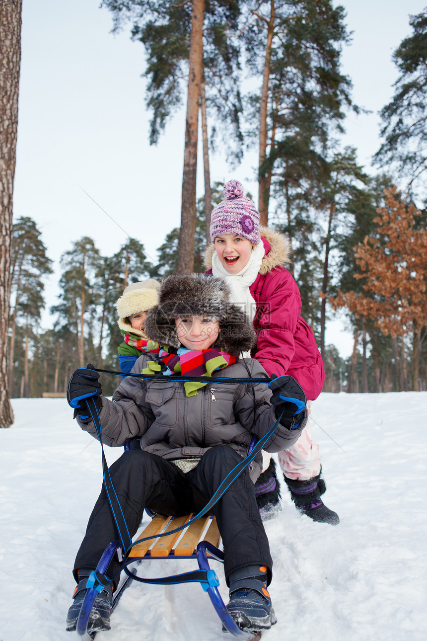 儿童在雪雪地上骑着雪橇季节喜悦乐趣时间松树孩子森林婴儿兄弟美丽图片
