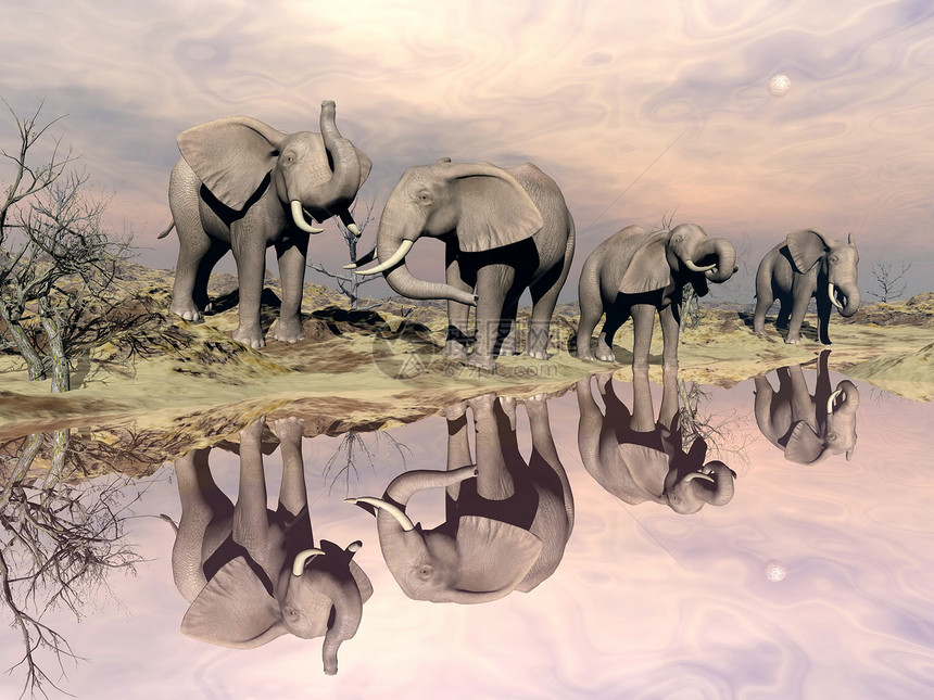 大象和水 - 3D图片