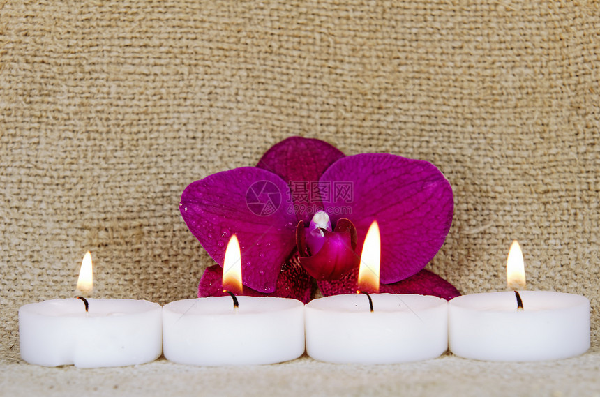 蜡烛紫色烛光兰花图片