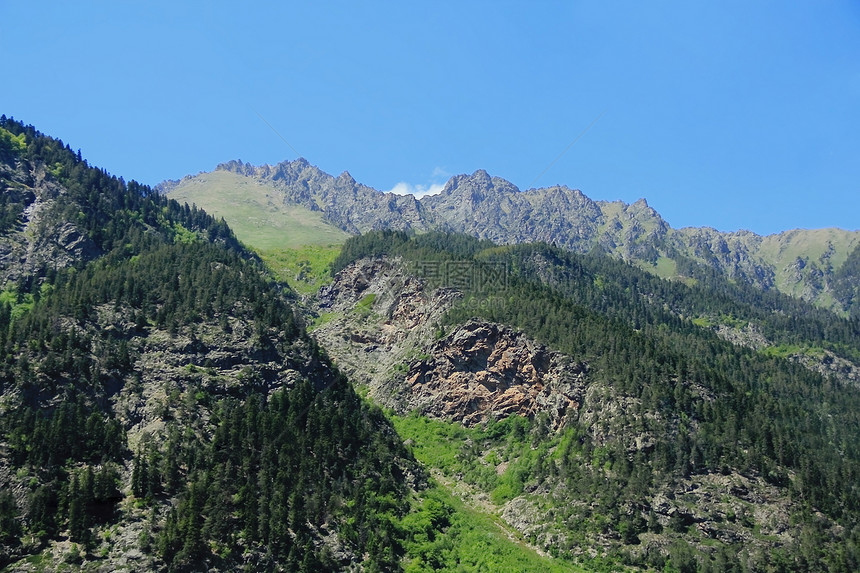 高加索绿色山脉首脑绿色悬崖森林木头高度爬坡叶子风景图片