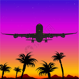南诏风情岛热带岛屿上降落的飞机插画