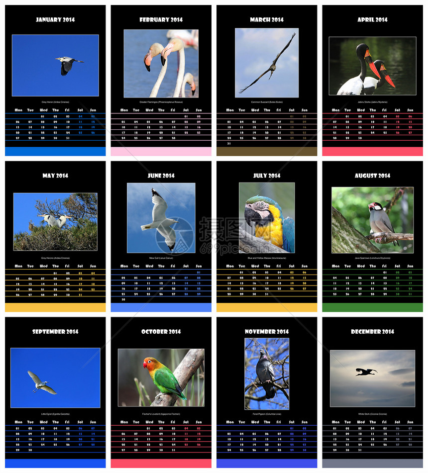2014年鸟类日历网格英语商业动物日记议程办公室规划师野生动物时间图片