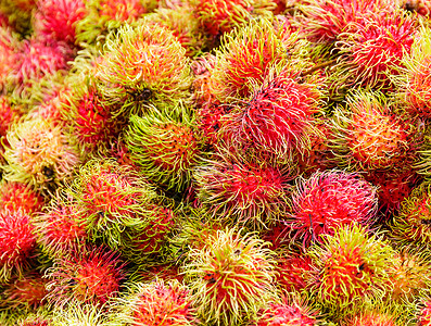 红布丁收成热带红色水果市场背景图片