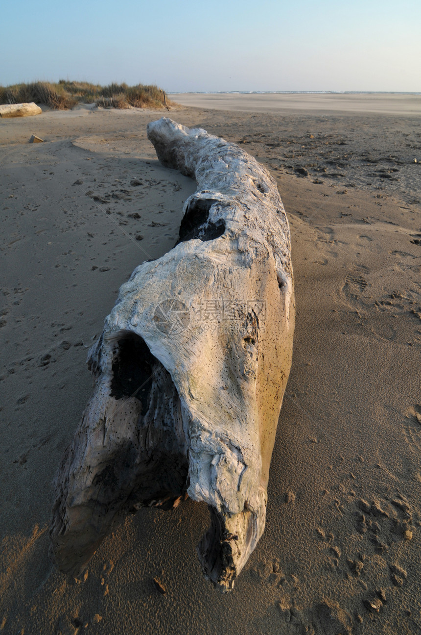 在海边的木头在camargue假期历史建筑学运动海洋太阳地标天空海岸旅行图片