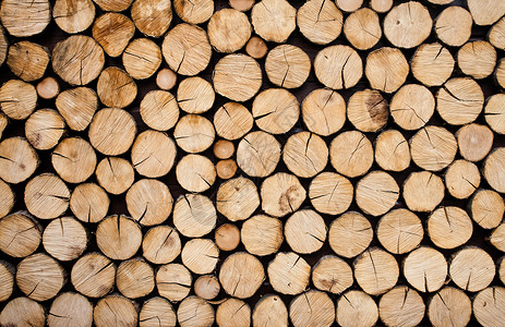 木材原木堆松树植物林业木头日志环境库存戒指森林季节背景图片