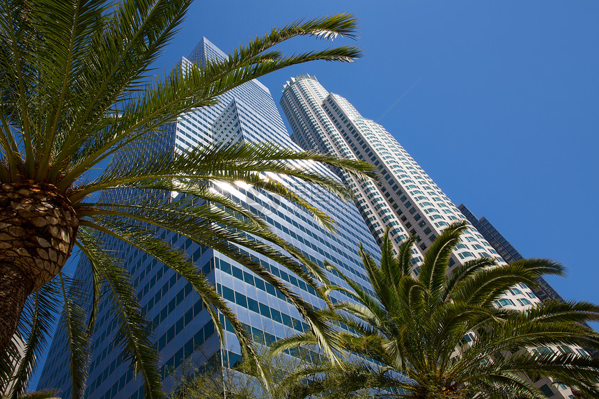 加利福尼亚州棕榈树California市中心建筑物商业景观反射蓝色镜子棕榈办公室天际图片