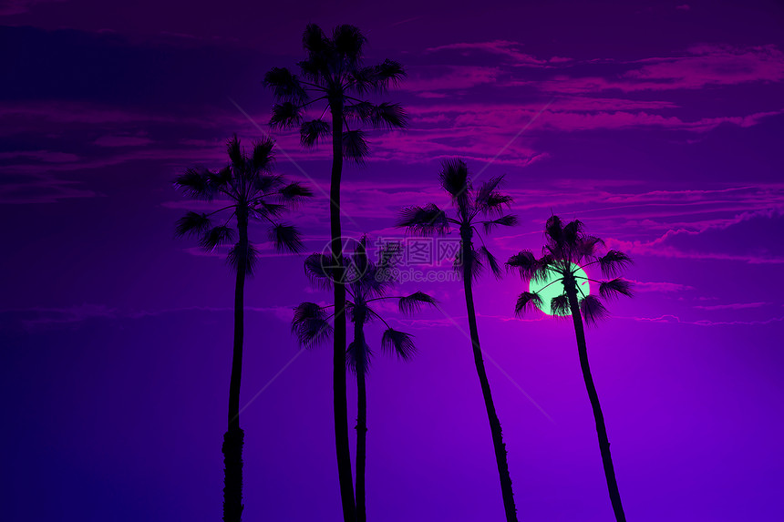 加利福尼亚州棕榈树高棕榈树假期异国海洋旅行紫色天空热带日落海滩太阳图片