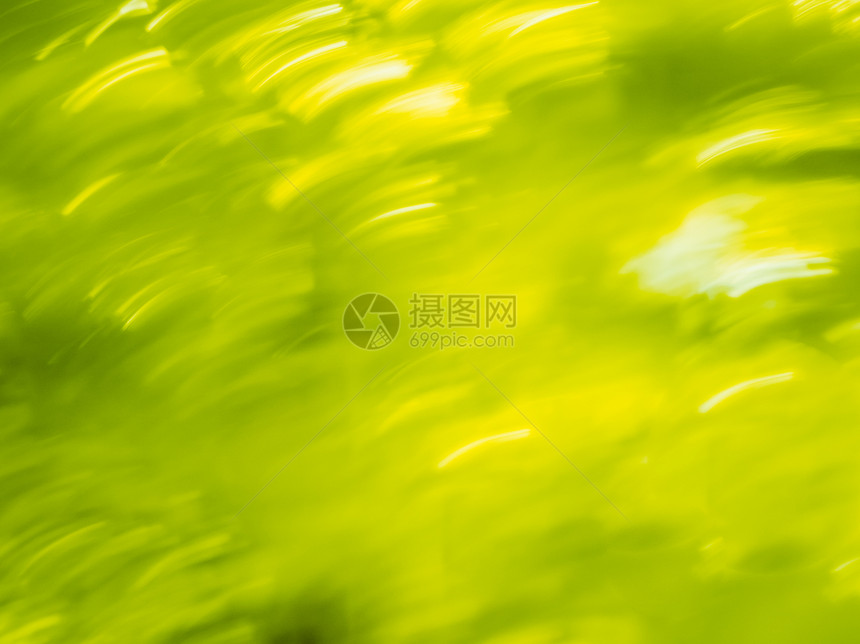 夏季动态 bokeh 背景图片