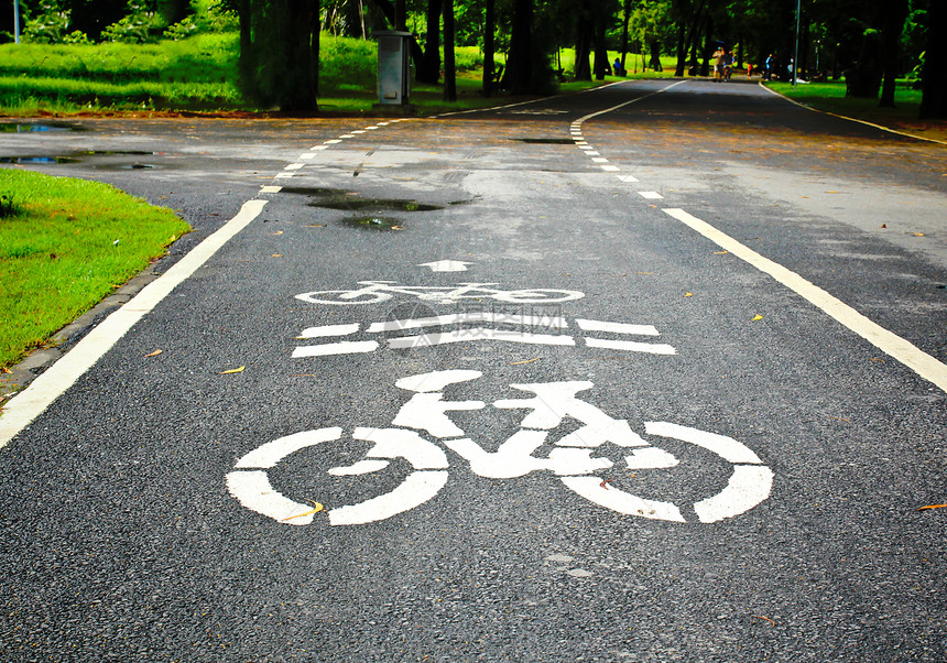 公园的自行车巷小路运动白色车道城市环境交通绿色运输花园图片