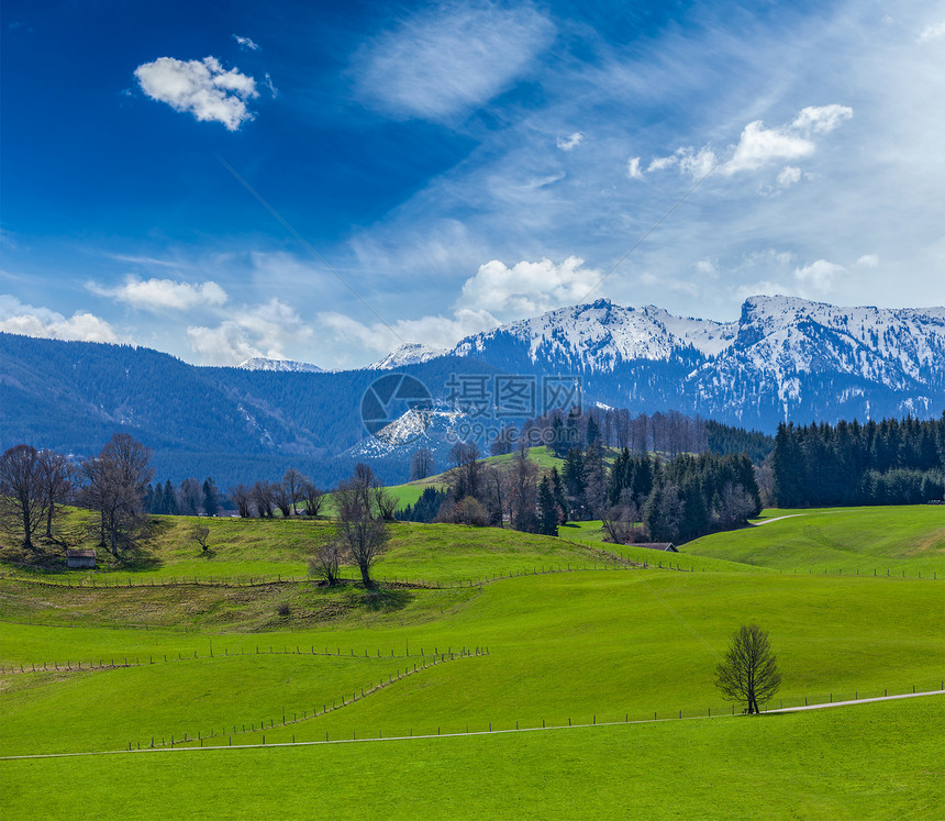 春天的德国犹太教牧草地 和在后方的阿尔卑斯山农村风光草地乡村田园场地风景图片