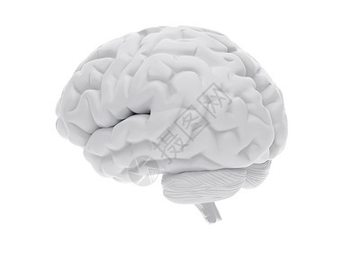3D人脑卫生外科保健感官科学知识分子生物学思考神经智慧背景
