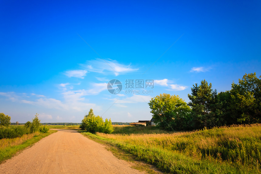 达斯地路场地天空绿色木头旅行环境衬套季节国家乡村图片