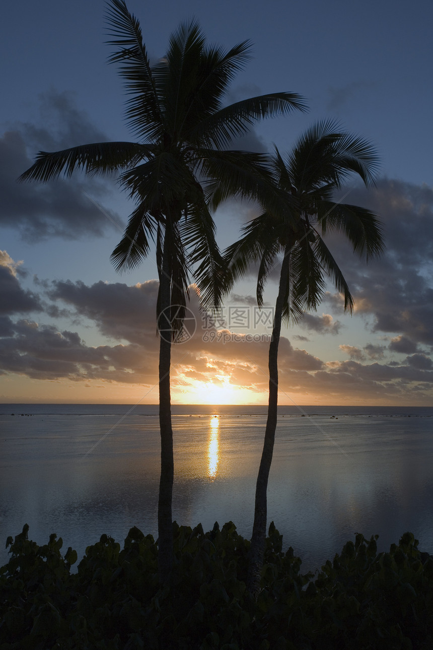 库克群岛南太平洋风景蜜月太阳海洋假期旅游日落天空棕榈地平线图片