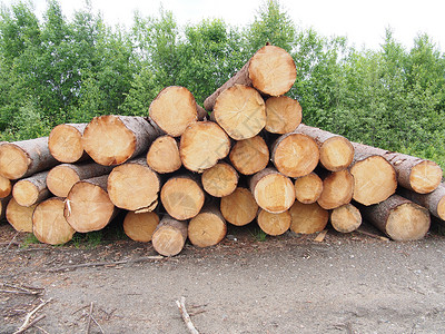 路上的木头破坏日志松树林业树桩木桩木材森林环境生态卡车高清图片素材