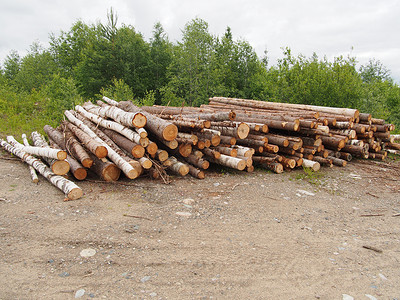 路上的木头环境针叶木桩记录贮存日志柴堆营林树桩卡车高清图片