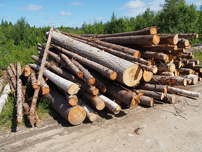 路上的木头贮存生态针叶木材树干破坏柴堆资源木桩记录冷杉高清图片素材
